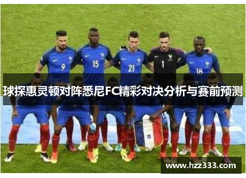 球探惠灵顿对阵悉尼FC精彩对决分析与赛前预测